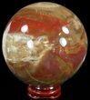 Colorful Petrified Wood Sphere #49778-1